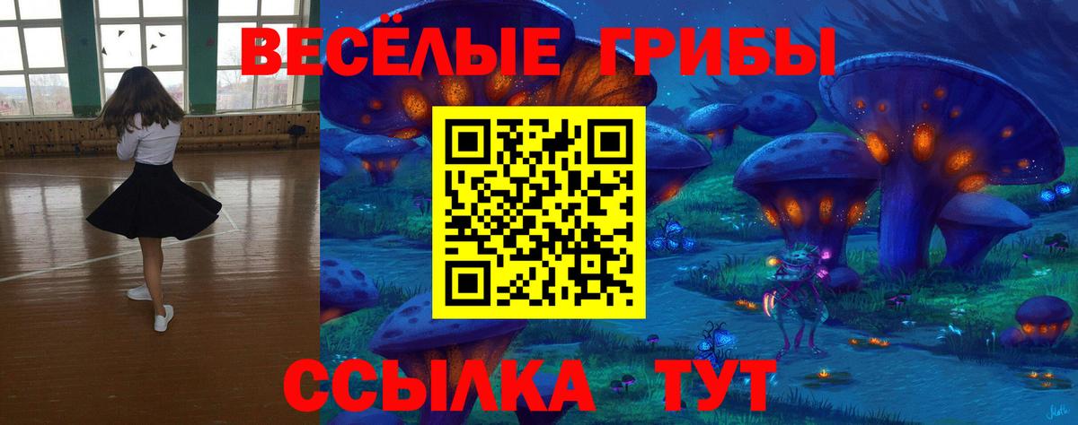 Галлюциногенные грибы мицелий Красный Сулин
